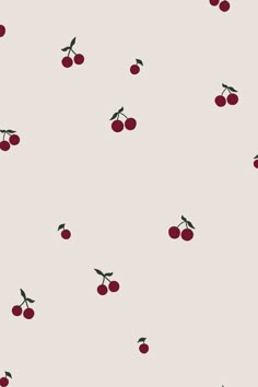 an image of cherries on a white background that is very similar to the wallpaper