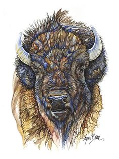 a drawing of a bison with long horns