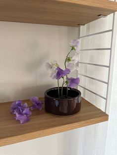 purple and white flowers in a black pot on a shelf