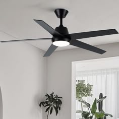 a black ceiling fan in a white room with a potted plant next to it