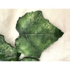 two green leafy plants sitting on top of a white sheet