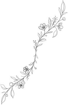 a line drawing of flowers and leaves on a white background