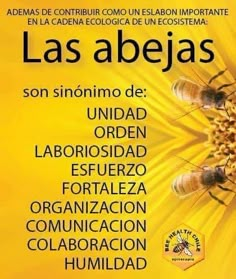 a yellow poster with bees on it and the words las abejas written in spanish