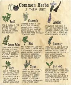 Magickal Herbs Herbal Magic, Herb Meanings, Herbs And Their Uses, Herbal Witch, Witchcraft Herbs, Magickal Herbs, Witch Herbs, Pagan Crafts, Witch Tips