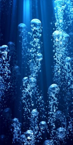 an underwater scene with bubbles floating in the water