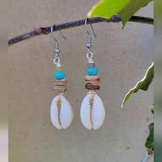 a pair of seashells hanging from a branch with turquoise beads and silver earwires