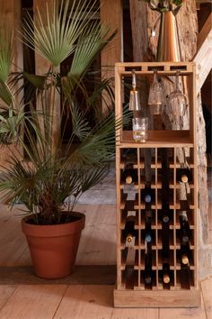 a wooden wine rack filled with bottles next to a potted plant and palm tree