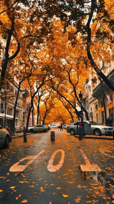 an empty street with cars parked on both sides and trees in the fall colors around it