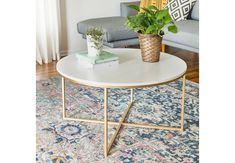 a living room with a couch, coffee table and potted plant on the rug