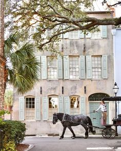 a black horse pulling a carriage in front of a tall building with shuttered windows