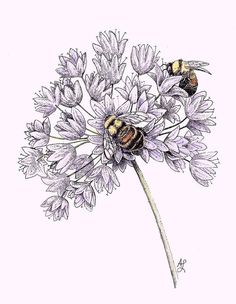 a drawing of two bees sitting on top of a flower with purple flowers in the background