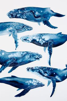 four whales are shown in blue and white, with bubbles on the water's surface