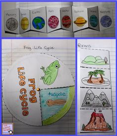 four pictures of different types of paper with the words frog life cycle written on them