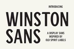 the font and typeface for an old - fashioned book called, winston sanss