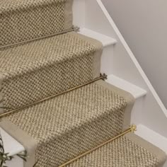 the carpeted stairs are lined with gold hardware