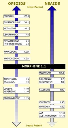 a diagram showing the different types of nephrolides and morphiine