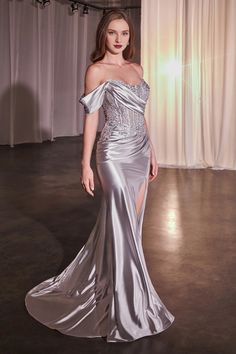 Lace applique long one shoulder satin dress Silver Gala Dress, Silver Outfit Ideas, Silver Formal Dress, Satin Long Dress, Queen Of Dragons, Jefferson Starship, Silver Evening Dress, Satin Evening Gown, Cinderella Divine