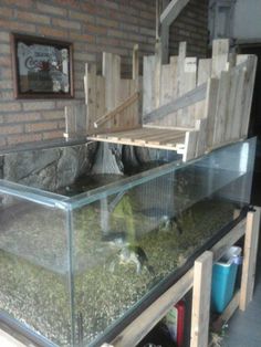 a fish tank sitting on top of a wooden table