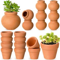 PRICES MAY VARY. Material: Made of terracotta, a reliable and reusable material that is sturdy and lightweight. Size: Available in 2 different sizes, 1.2 inches and 1.3 inches in height and 0.9 inches and 1.2 inches in diameter, suitable for small succulents and herbs. Decorative: Elegant and practical decorations for balconies, rooms, tables, desks, and windowsills. DIY: Fun and creative DIY craft for school projects, painting, and filling with sand, soil, or plants. Multipurpose: Can be used f Mini Clay Pots, Pottery Plant Pots, Windowsill Decor, Terra Cotta Pot Crafts Diy, Window Sill Decor, Terra Cotta Clay Pots, Terra Cotta Pots, Plants Diy, Mini Clay