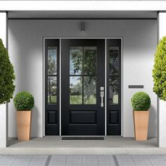 two potted plants are on either side of the entrance door to a home with black doors