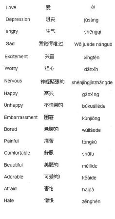 an english and chinese language dictionary is shown in this screenshote screen graber