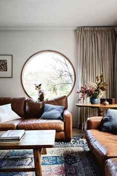 a dog sitting on top of a brown leather couch in front of a round window