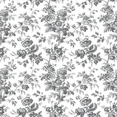 Anemone Toile Wallpaper Wallpaper York Wallcoverings Double Roll Black Black Toile, Product Knowledge, Toile Wallpaper, York Wallcoverings, Resource Library, Leaf Wallpaper, Red Ink, Modern Wallpaper, Wallpaper Samples