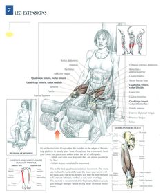 an image of the muscles and their functions on a cell phone with text above it