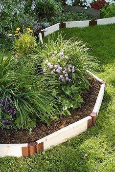 a garden bed with purple flowers and green grass