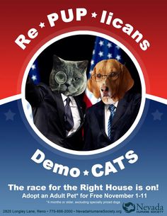 a poster with two cats and a dog on it that says, re - pup licanss demo + cat's the race for the right house is on adopt an adult pet for free november 11