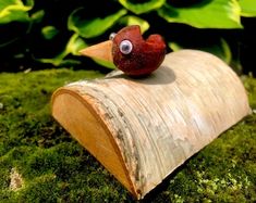 a red bird sitting on top of a piece of wood next to green moss covered ground