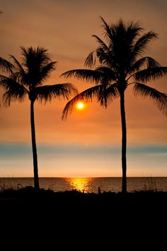 the sun is setting behind two palm trees