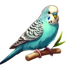 a blue and white parakeet perched on a branch