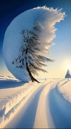 a snow covered road with trees on the side and sun shining in the sky behind it