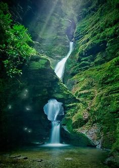 a small waterfall in the middle of a forest with green moss growing on it's sides