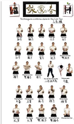 the poster shows how to do martial moves