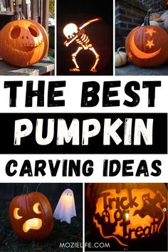 the best pumpkin carving ideas for halloween