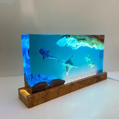 an aquarium with sharks and other marine creatures in it's display case on a wooden stand