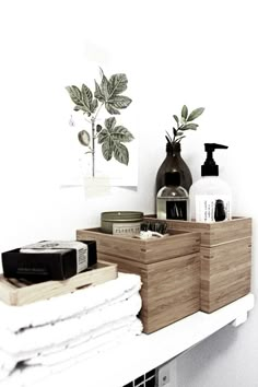 a bathroom shelf filled with lots of personal care items next to a potted plant