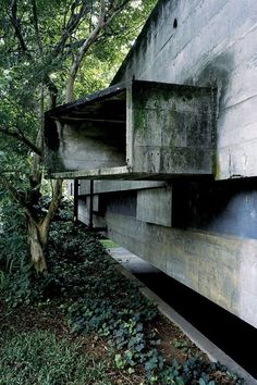 an old concrete building in the woods