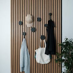 a coat rack with hats and coats hanging from it's hooks on the wall