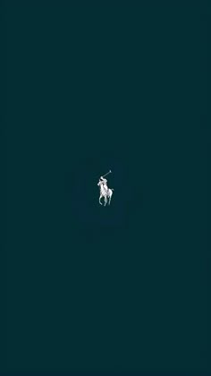 a white horse in the middle of a dark blue sky with an animal on it's back