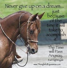 a brown horse with a quote on it saying never give upon a dream just because of the time it will take to accomplish it