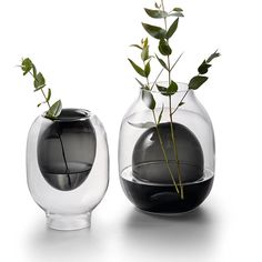 there are two vases with plants in them