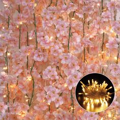 pink flowers are lit up with fairy lights