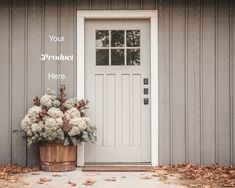 a potted plant sitting in front of a white door with the words your product here