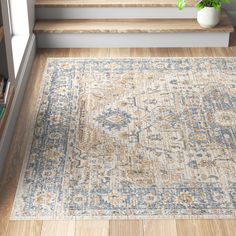 an area rug on the floor in front of some stairs and a potted plant