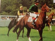 two jockeys on horses in an open field with people watching them from the stands