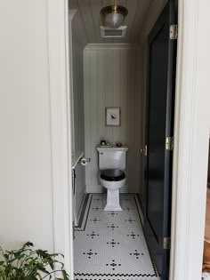 a white toilet sitting in a bathroom next to a plant