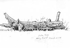 a drawing of a fallen tree in the snow